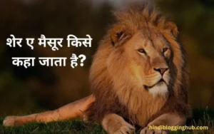 Sher E Mysore Kise Kaha Jata Hai