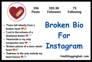 Broken Bio For Instagram