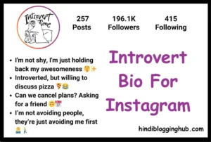 Introvert Bio For Instagram