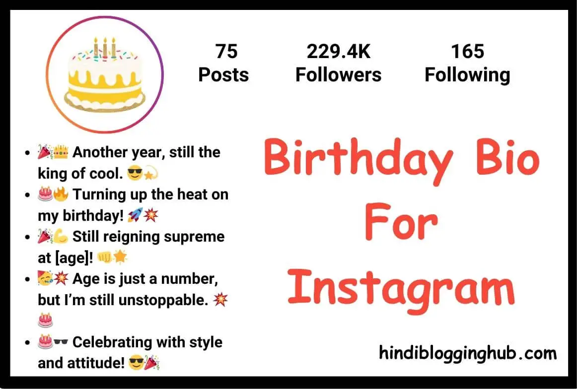 Birthday Bio For Instagram