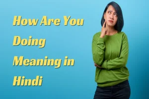 How Are You Doing Meaning in Hindi