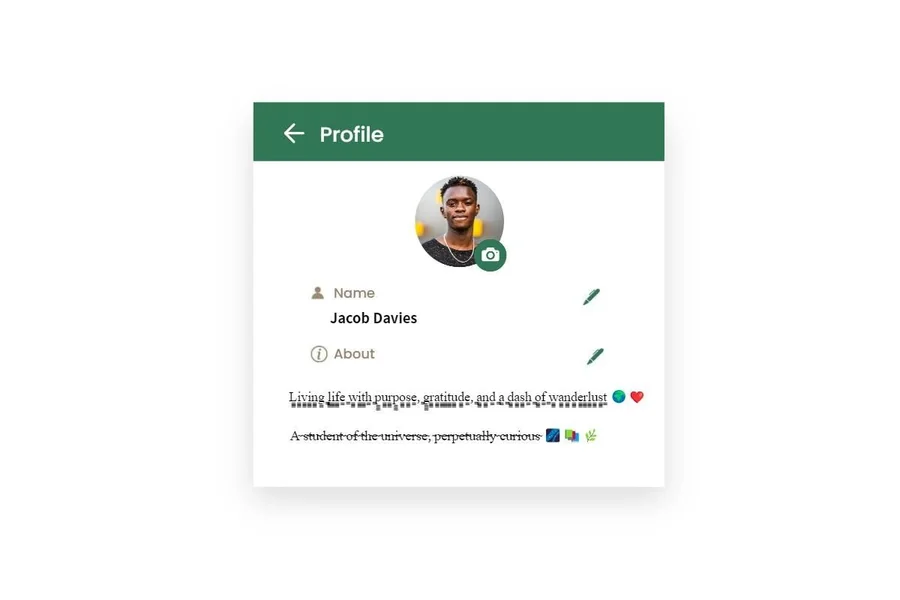 attitude whatsapp bio